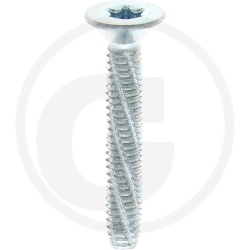 VPE1000 DIN7516 Stahl DE M 4x25 -T20 VZ