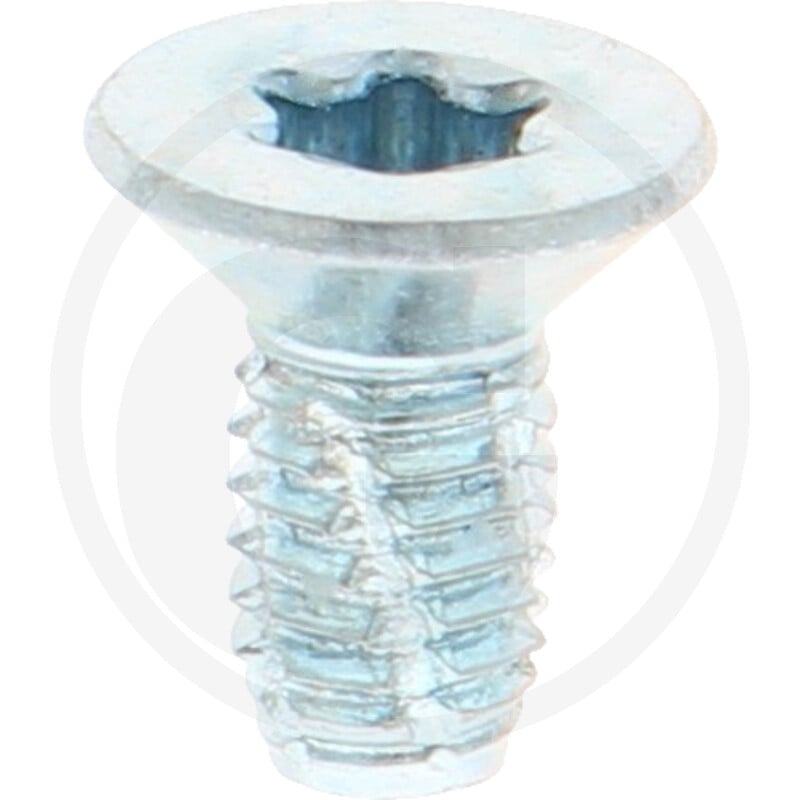 VPE1000 DIN7516 Stahl DE M 5x10 -T25 VZ