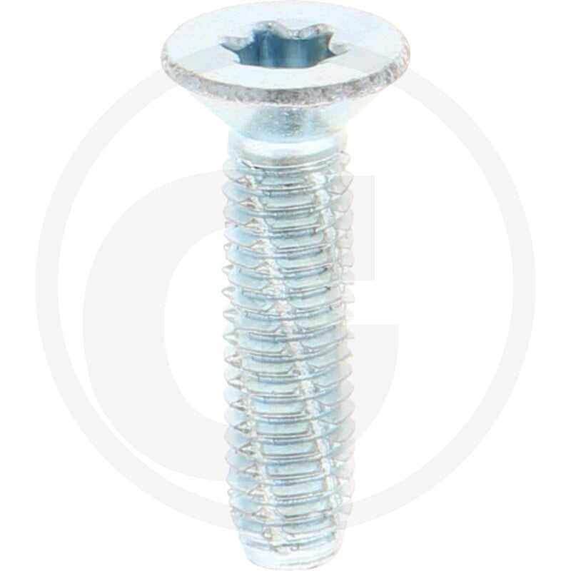 VPE500 DIN7516 Stahl DE M 5 x 20 -T25 VZ