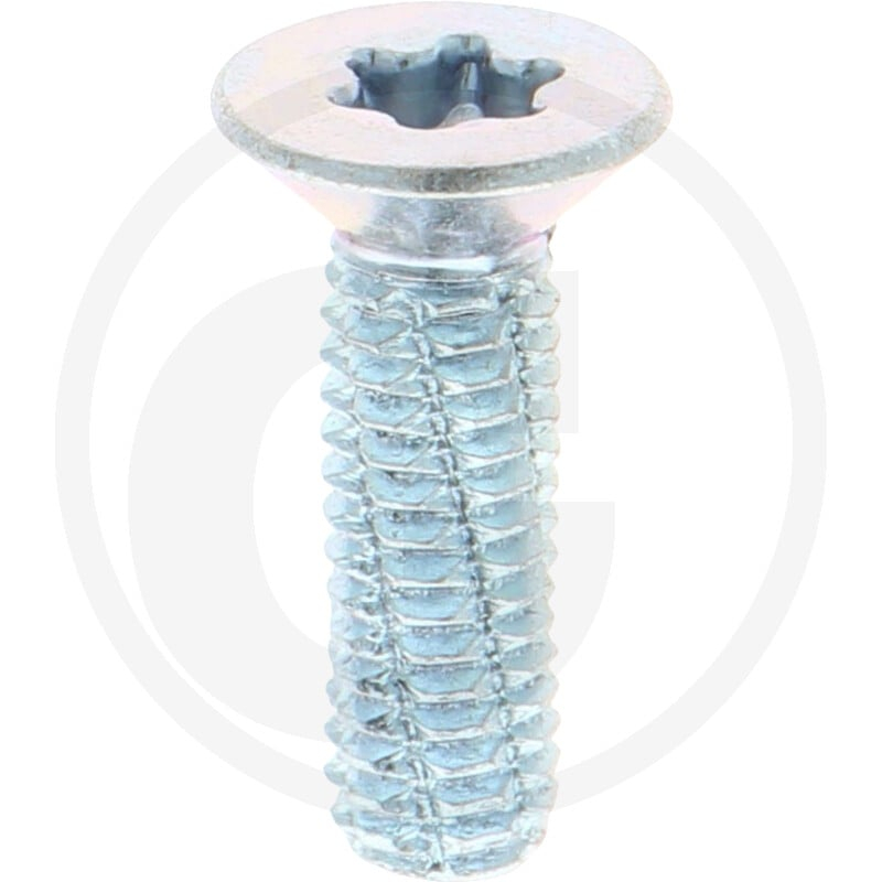 VPE500 DIN7516 Stahl DE M 6 x 20 -T30 VZ