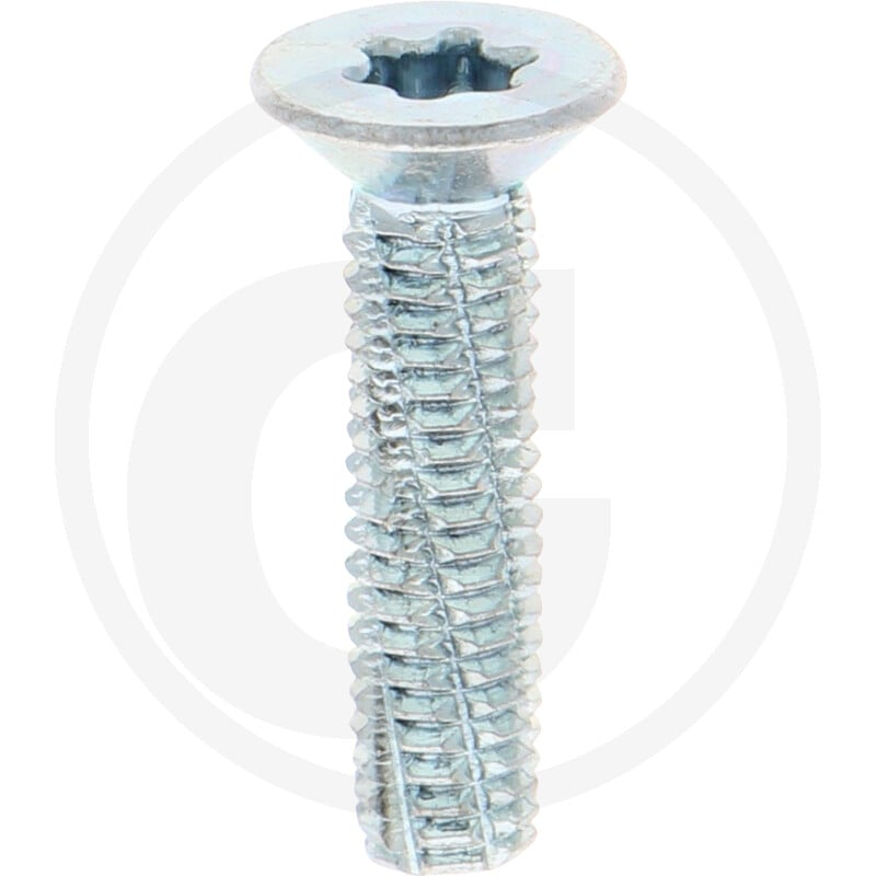 VPE500 DIN7516 Stahl DE M 6 x 25 -T30 VZ