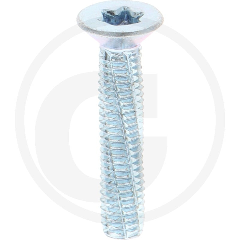 VPE500 DIN7516 Stahl DE M 6 x 30 -T30 VZ