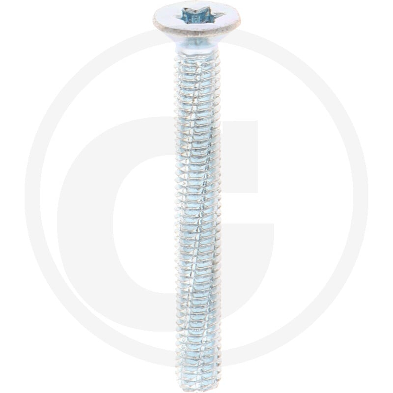 VPE500 DIN7516 Stahl DE M 6 x 50 -T30 VZ