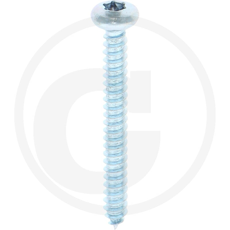 VPE500 DIN 7981 Stahl 4,2 x 38 -C-T
