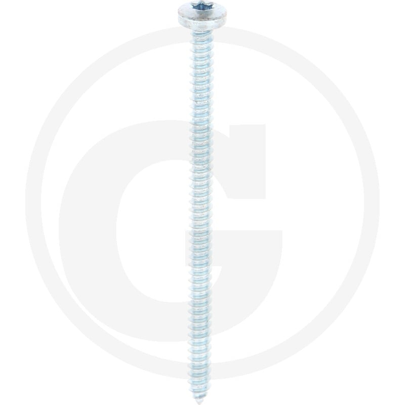 VPE500 DIN 7981 Stahl 4,2 x 70 -C-T