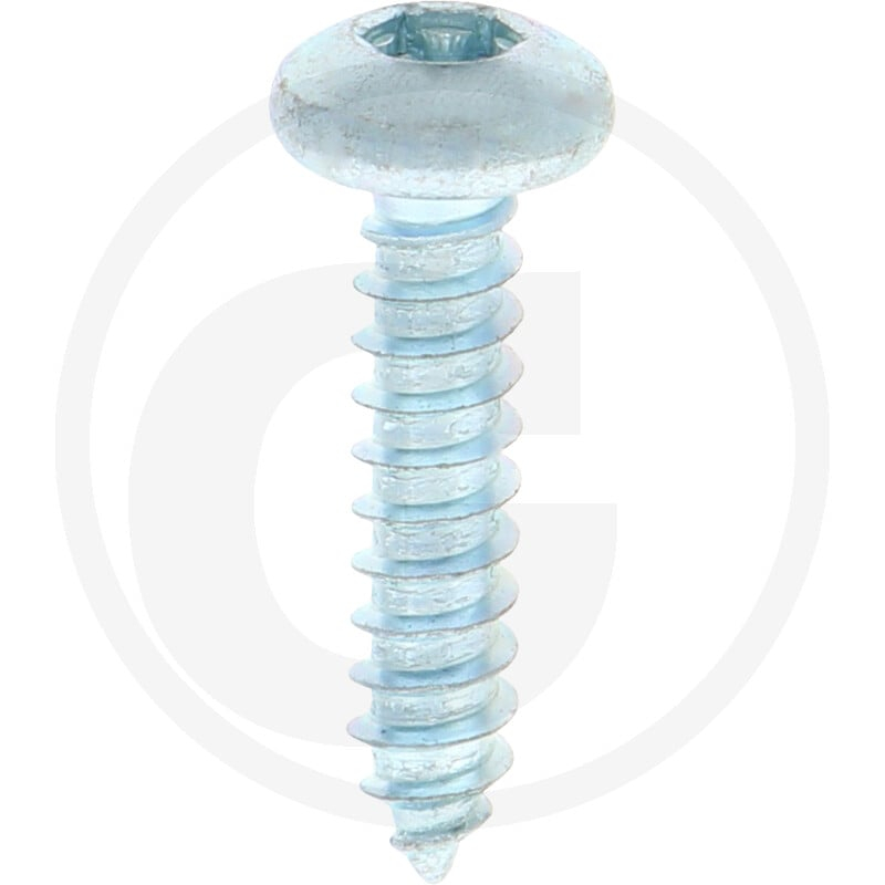 VPE500 DIN 7981 Stahl 4,8 x 22 -C-T