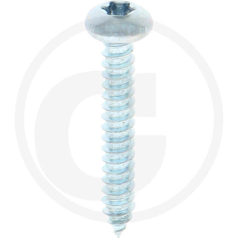 VPE250 DIN 7981 Stahl 4,8 x 32 -C-T