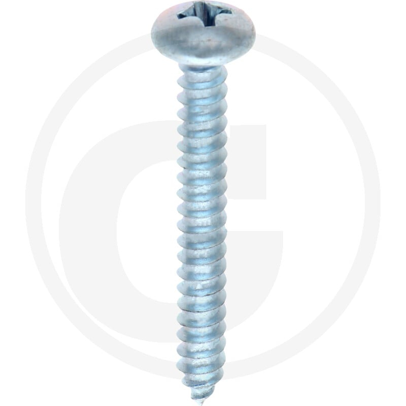 VPE250 DIN 7981 Stahl 4,8 x 38 -C-T