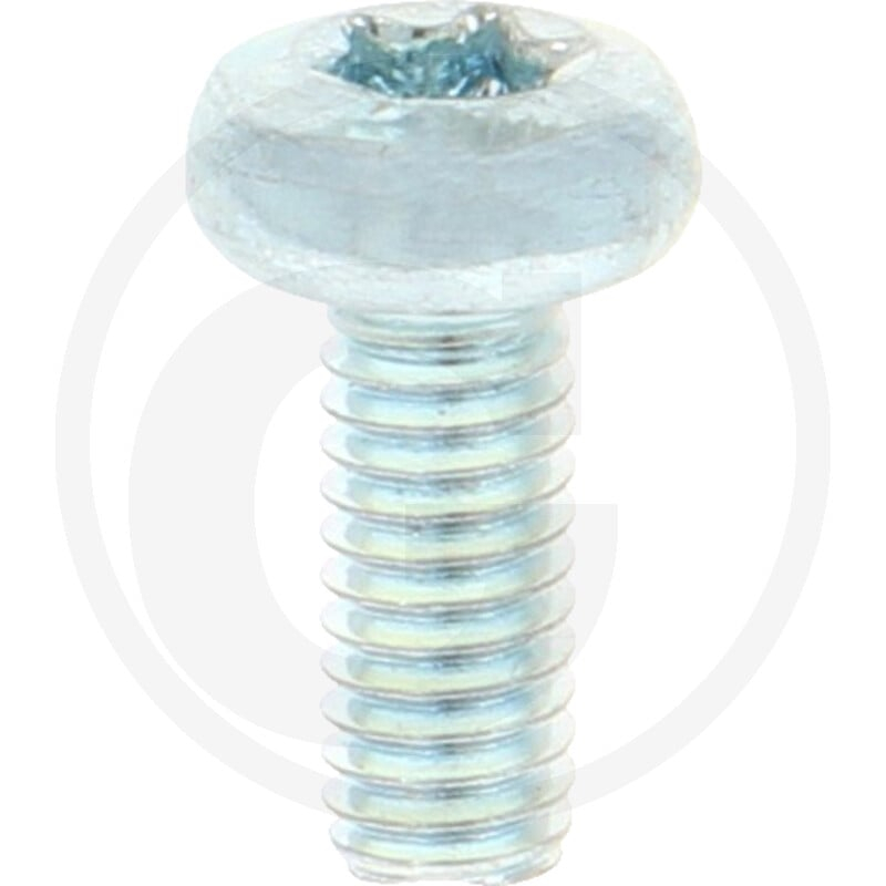 VPE2000 DIN 7985 4.8 M 4 x 10 -T VZ