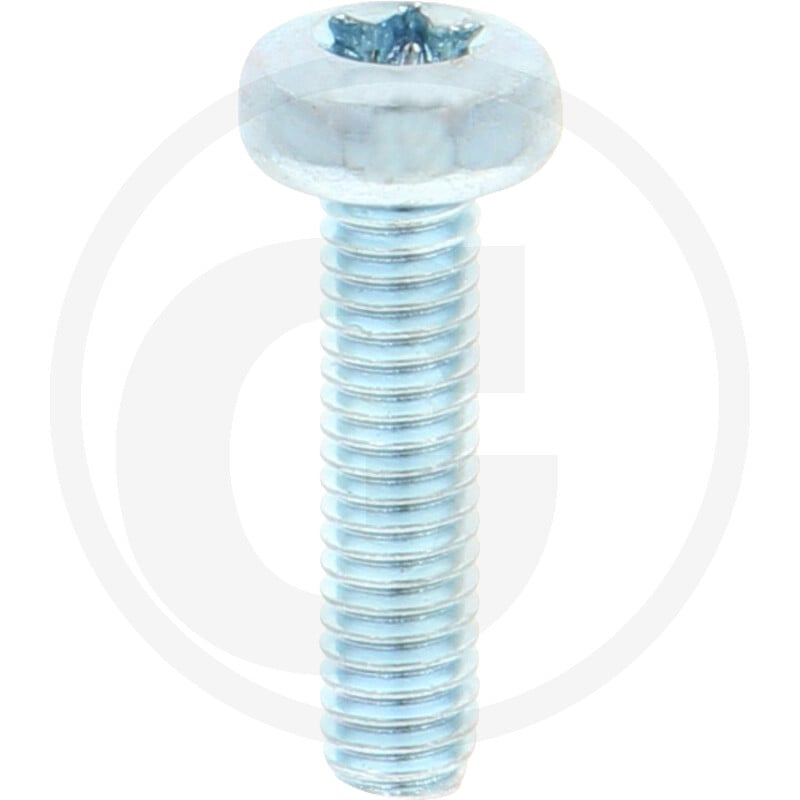 VPE2000 DIN 7985 4.8 M 4 x 16 -T VZ