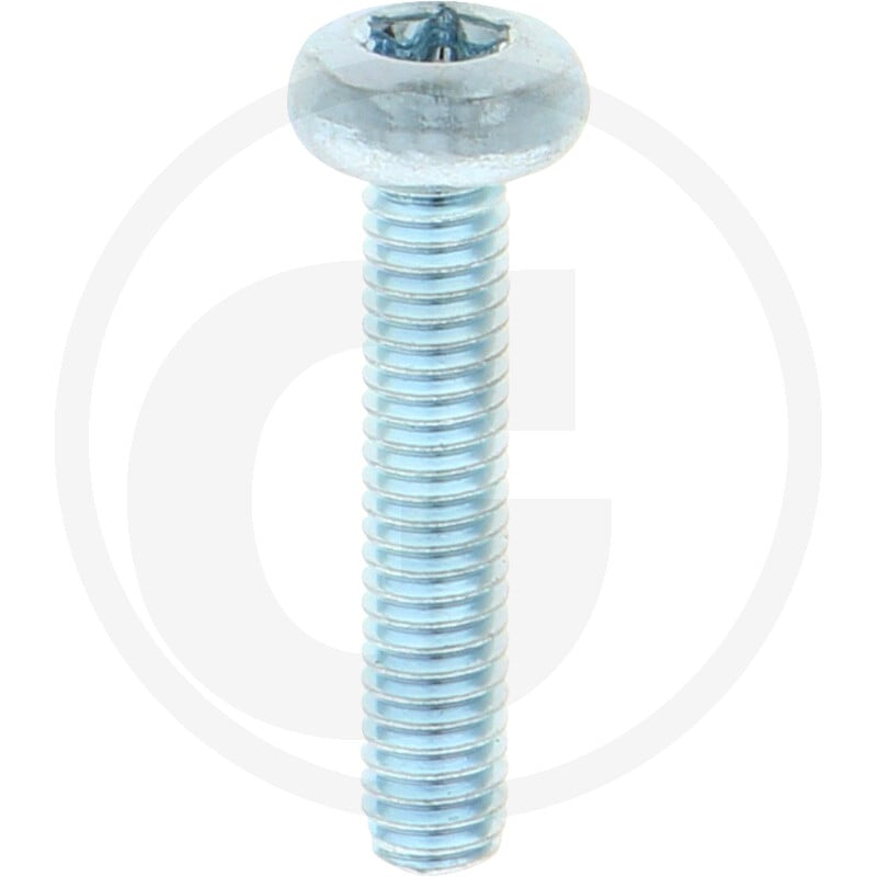 VPE2000 DIN 7985 4.8 M 4 x 20 -T VZ