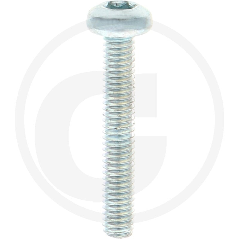 VPE1000 DIN 7985 4.8 M 4 x 25 -T VZ