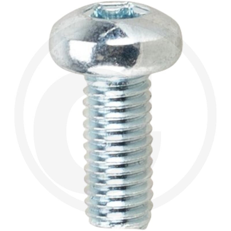VPE1000 DIN 7985 4.8 M 5 x 12 -T VZ