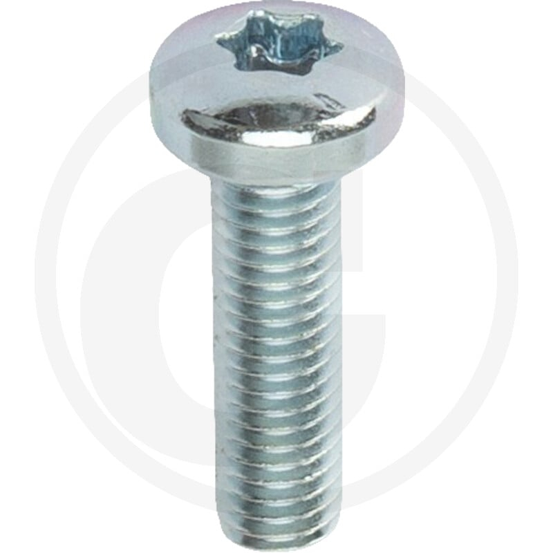 VPE1000 DIN 7985 4.8 M 5 x 18 -T VZ