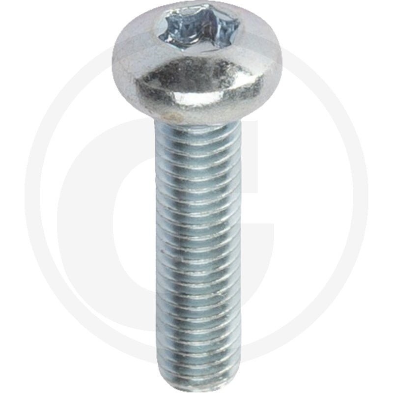 VPE1000 DIN 7985 4.8 M 5 x 20 -T VZ