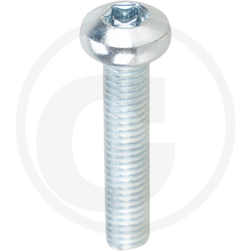 VPE1000 DIN 7985 4.8 M 5 x 25 -T VZ