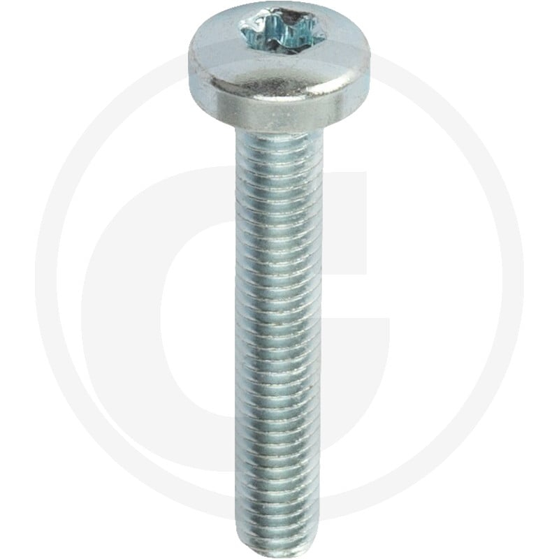 VPE1000 DIN 7985 4.8 M 5 x 30 -T VZ