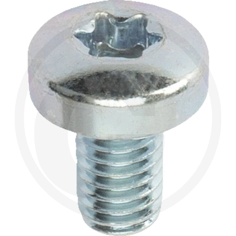 VPE1000 DIN 7985 4.8 M 6 x 10 -T VZ