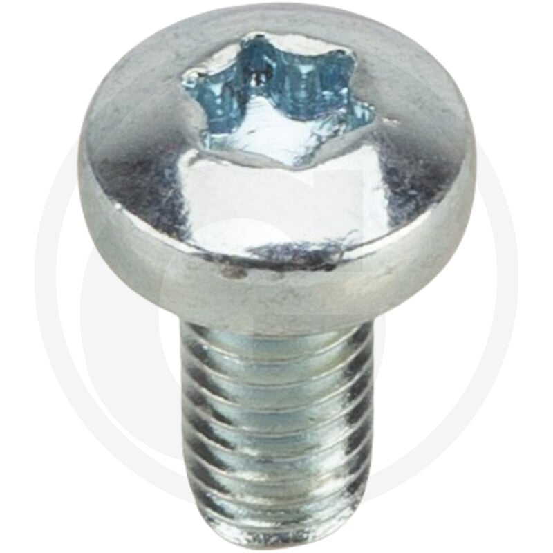 VPE1000 DIN 7985 4.8 M 6 x 12 -T VZ