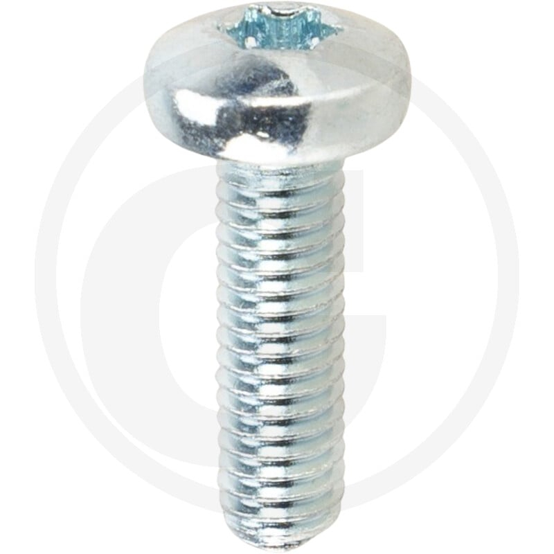 VPE1000 DIN 7985 4.8 M 6 x 20 -T VZ