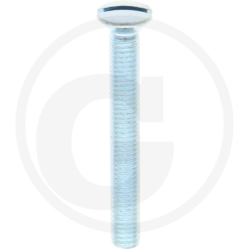 VPE200 DIN 964 4.8 M 6 x 50 VZ Schraube