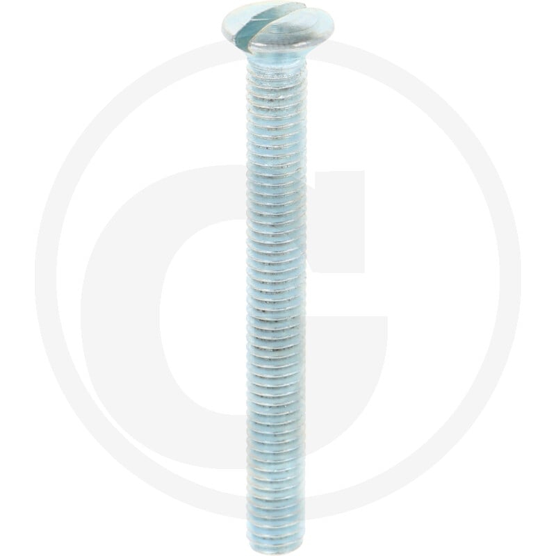 VPE200 DIN 964 4.8 M 6 x 55 VZ Schraube