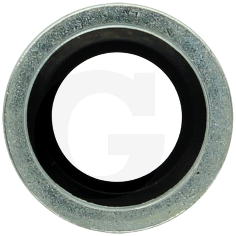 Dichtring