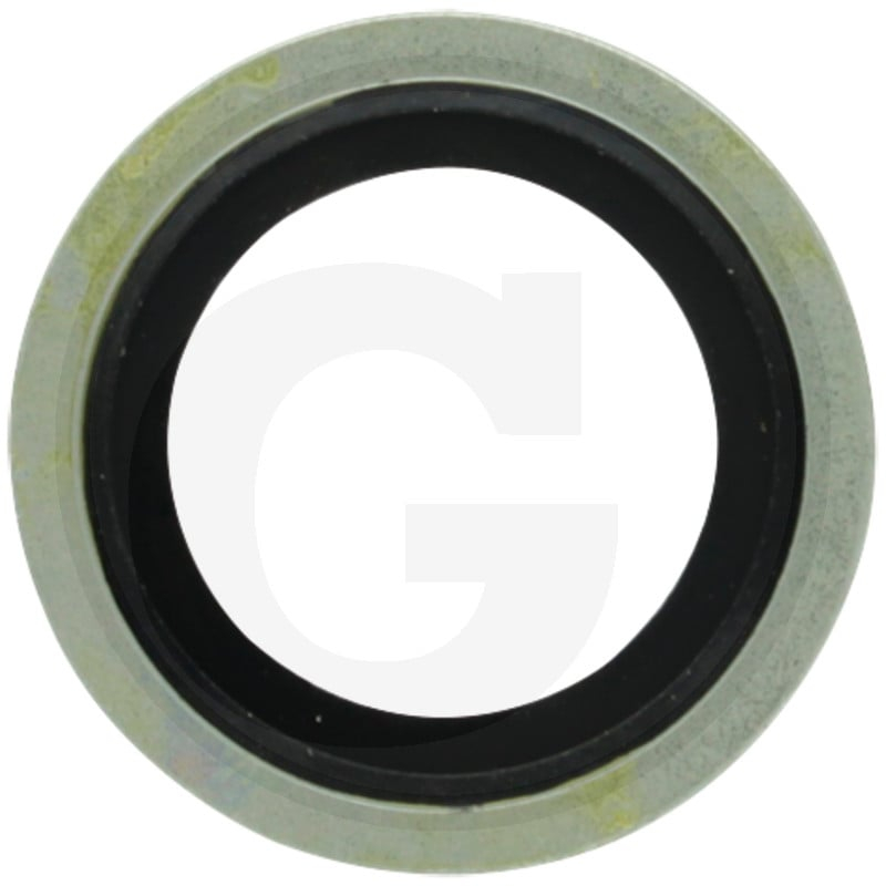 Dichtring