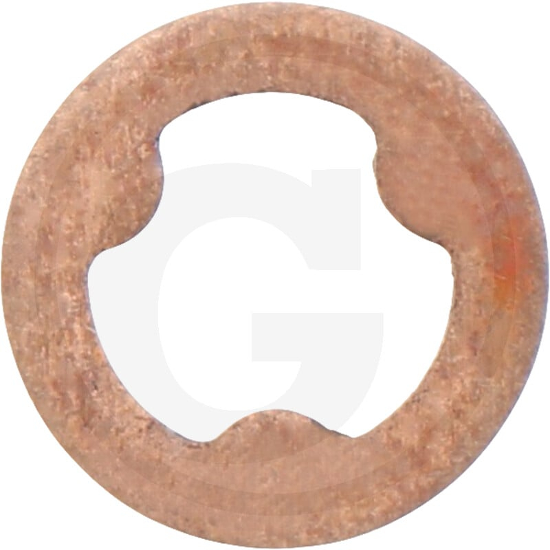 Dichtring