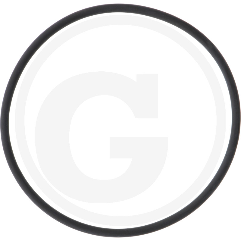 O-Ring (Dichtung fuer Stecktuelle)