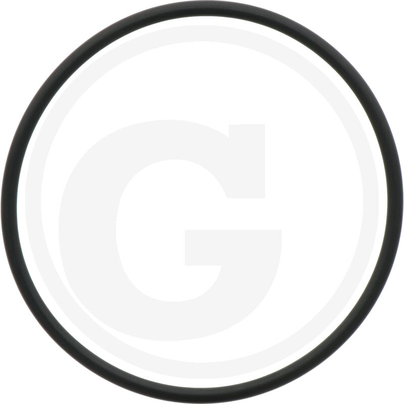 O-Ring ? 117,5 x 5,34 mm, für 4''