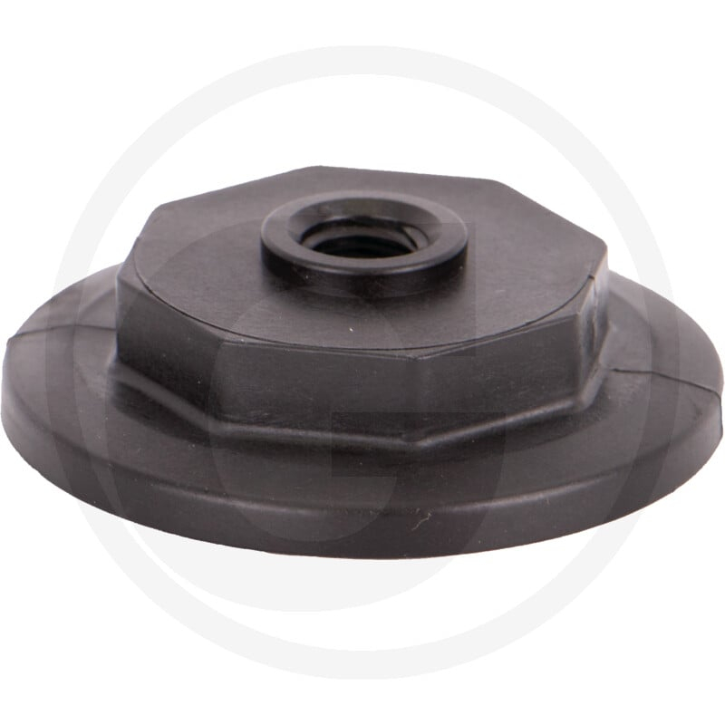 2'' Flange Plug w/ '' FPT