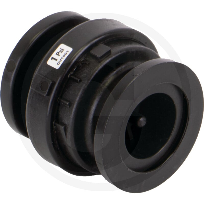 1'' Flanged Check Valve