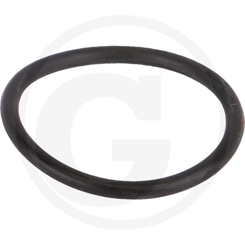 2'' LSQ Plug O-Ring
