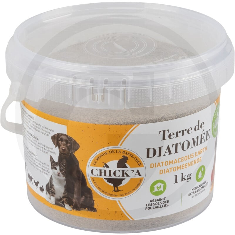 Diatomeenerde Kieselgur 1kg