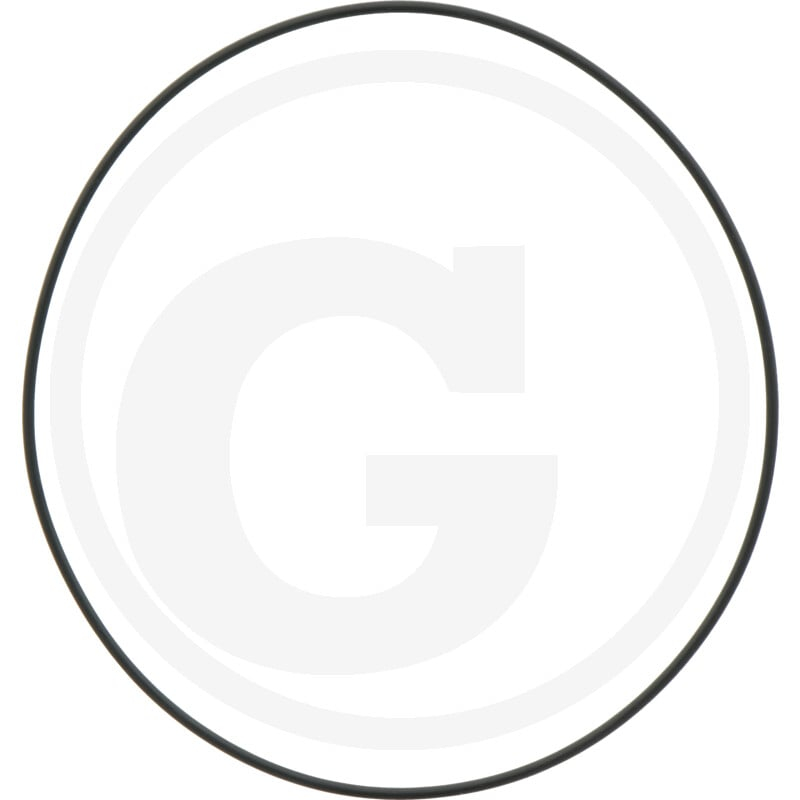 O-Ring