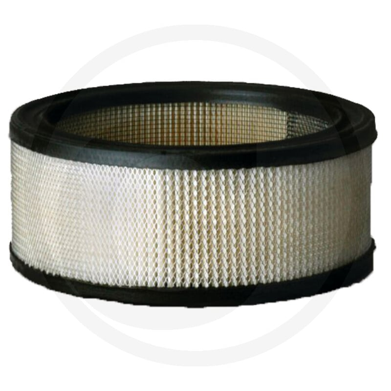 Luftfilter P607255