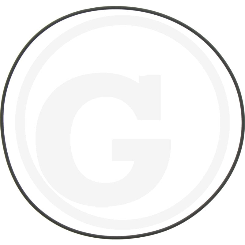 O-Ring für 8''