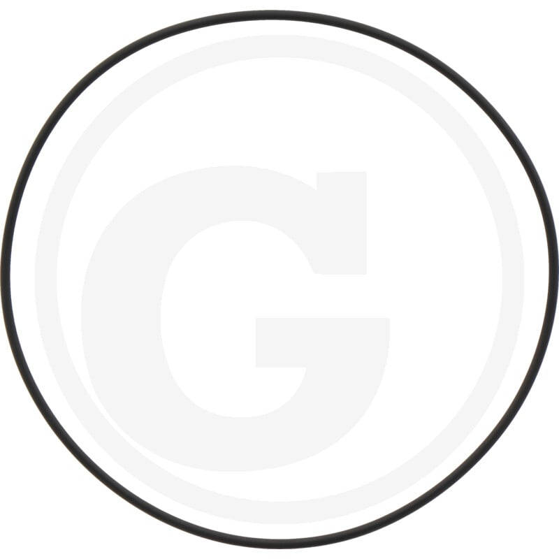 O-Ring 4''