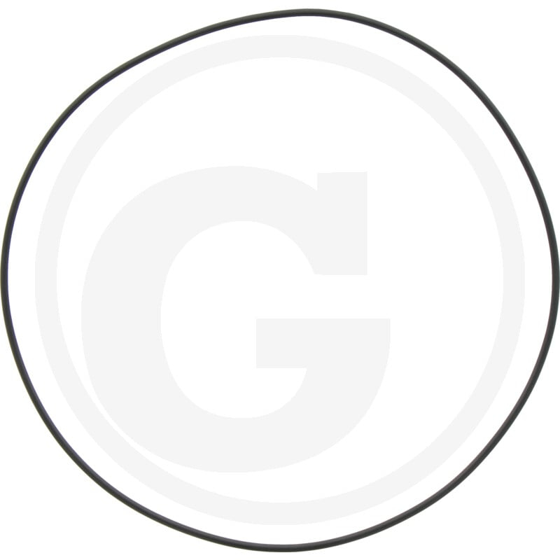 O-Ring 8''