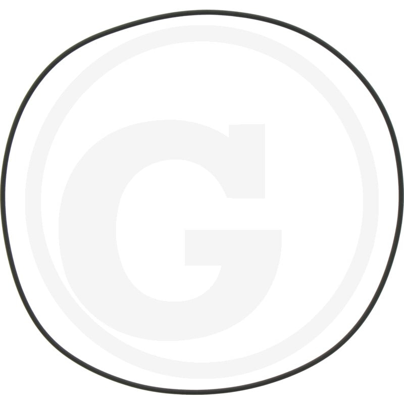 O-Ring 6''