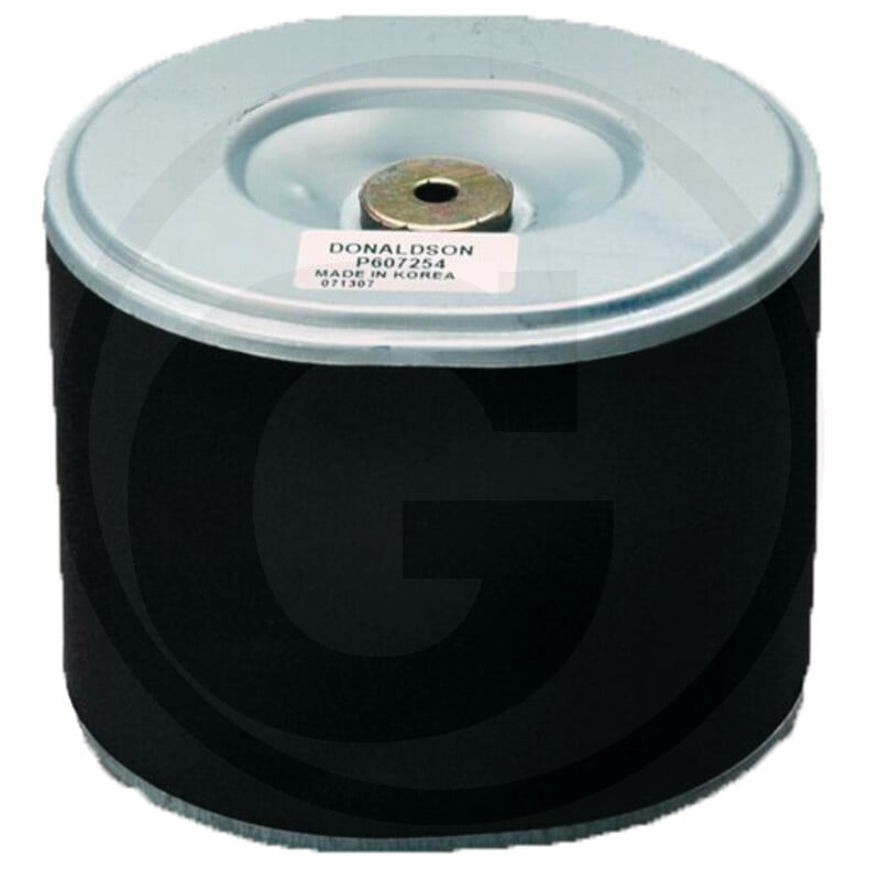 Luftfilter P607254