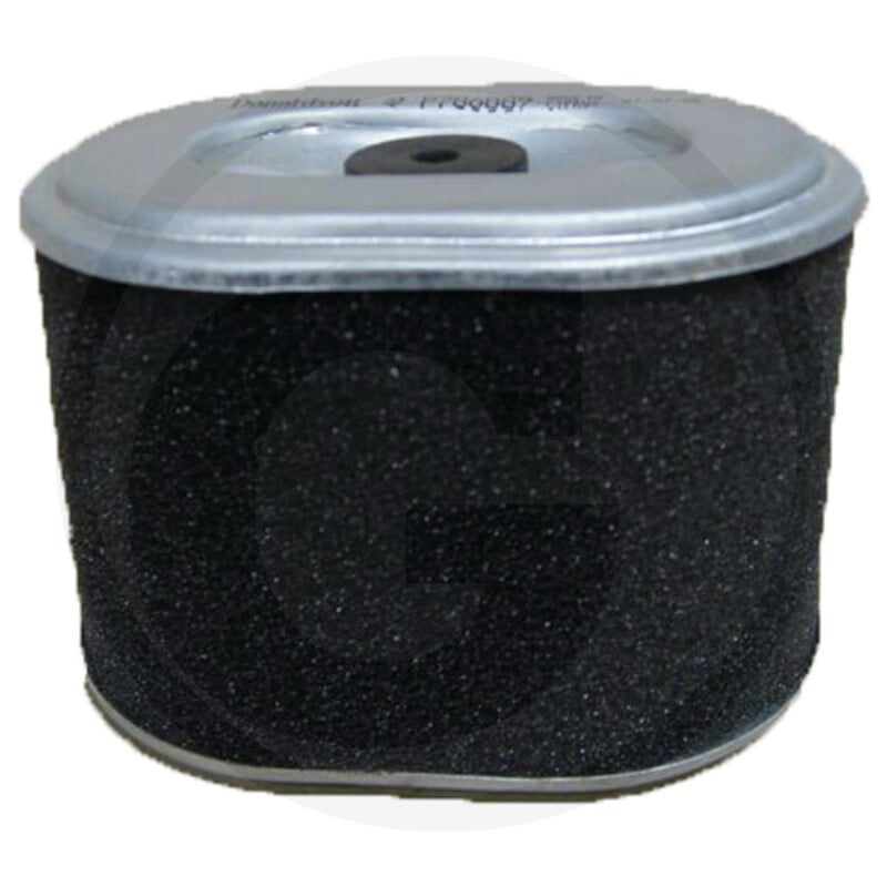 Luftfilter P786889