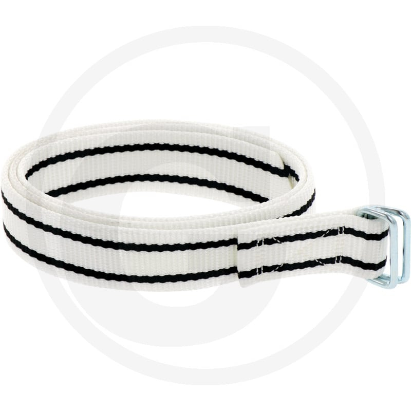 Markierungshalsband blau