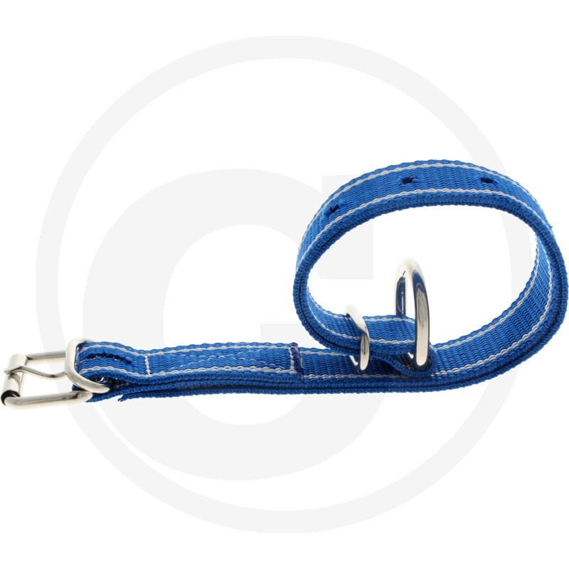 Halsband blau für Rinder