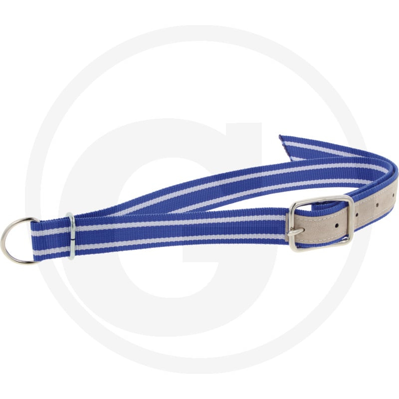 Halsband blau für Kühe