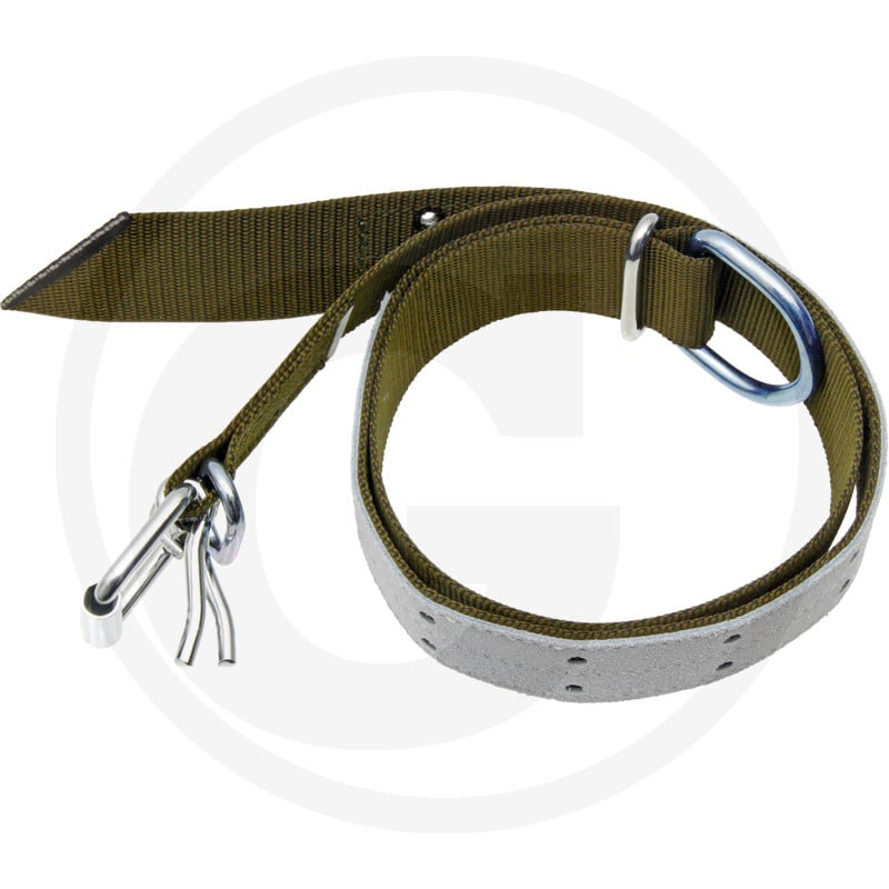 Halsband grün für Bullen