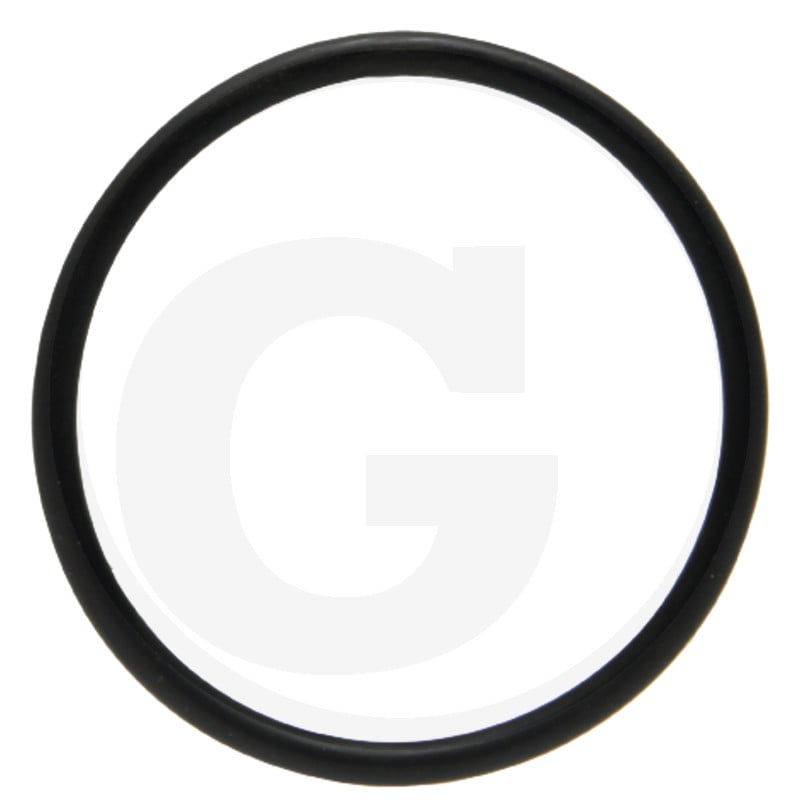 O-Ring Tankgeber