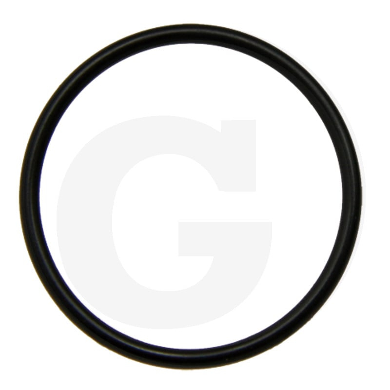 O-Ring Di= 22