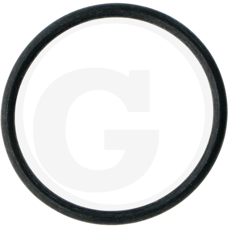 O-Ring Di= 38